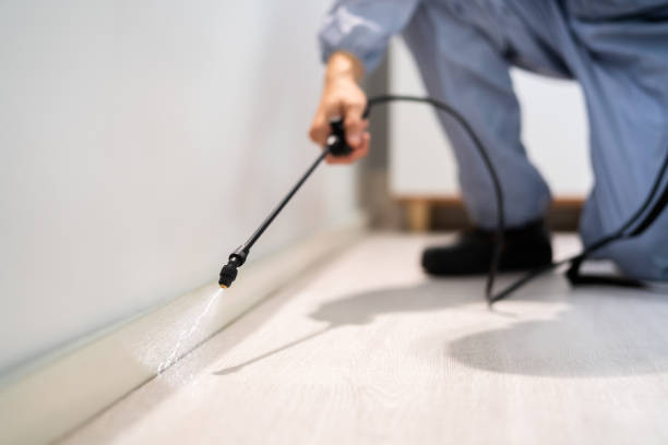 Bed Bug Pre-Treatment Preparation Assessment in Greenville